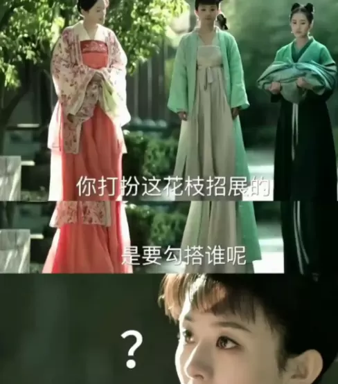 剧版《知否》弱化盛明兰美貌强化生存逻辑获观众认可 资讯配图