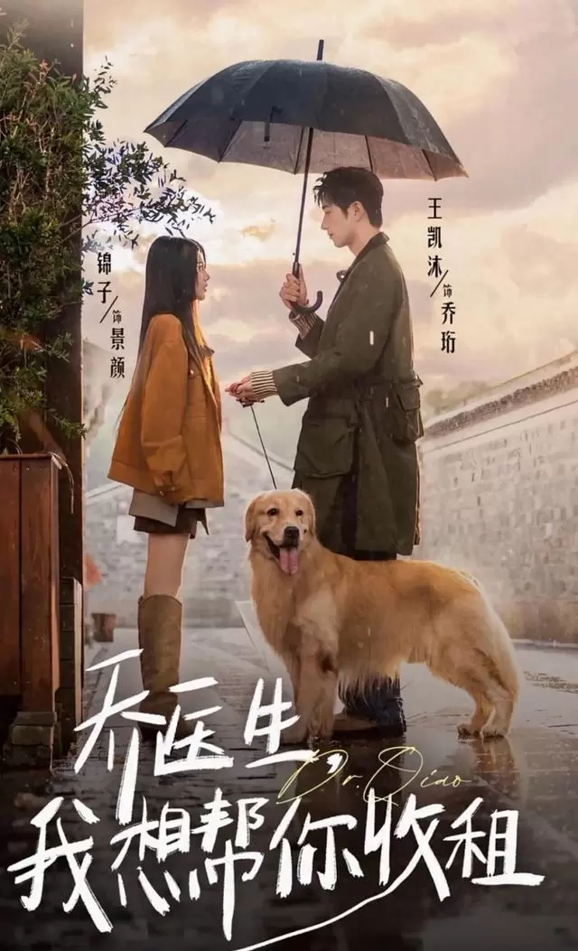 《玫瑰与青松》《许你地久婚长》等多部甜剧聚焦契约婚姻设定 情报图